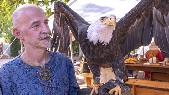 Unumstrittener Star des Bopparder Mittelaltermarktes war Clif, der Weißkopfseeadler. Thomas Graf von Strzenieczny hält den präc