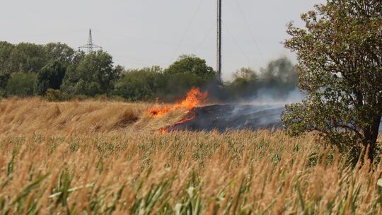 Flächenbrand in Mannheim-Neckarstadt