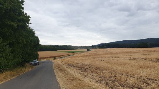 Ein großes, derzeit landwirtschaftlich genutztes Areal zwischen A61 und B412 soll für eine riesige Photovoltaikanlage verplant w
