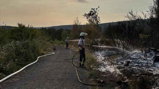 Rund sieben Stunden dauerte der Einsatz der Feuerwehr, um den Vegetationsbrand am Samstag in Herdorf zu löschen.
