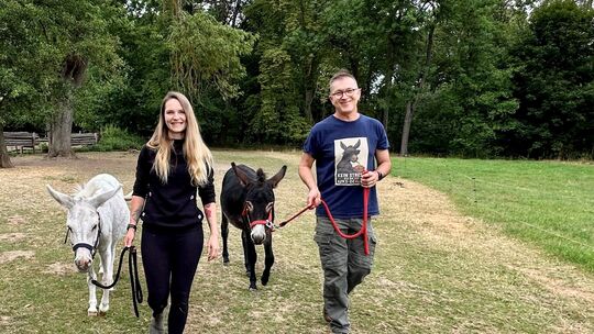 Melissa Bauer und Frank Hummrich üben mit den zukünftigen Therapieeseln das Spazierengehen an der Leine.