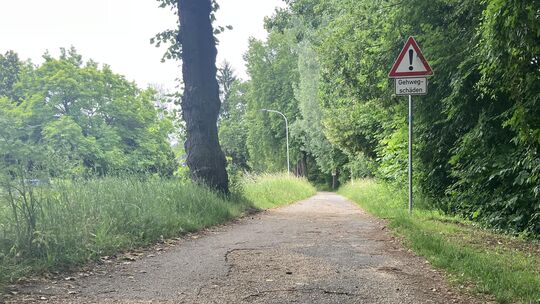 Der Rad- und Gehweg am Moselweißer Ufer soll ausgebaut werden. Daran gibt es Kritik. Der Rad- und Gehweg am Moselweißer Ufer soll ausgebaut werden. Daran gibt es Kritik.
