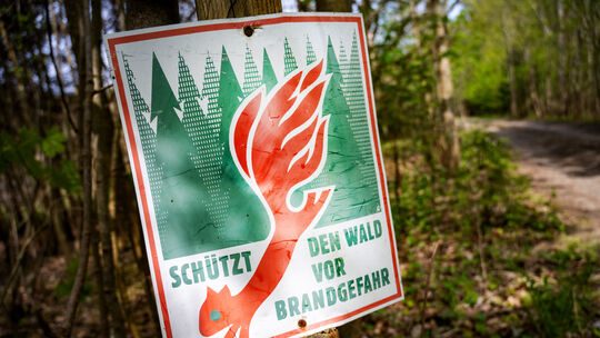 Der Deutsche Wetterdienst weist für fast ganz Rheinland-Pfalz ab Mittwoch die zweithöchste Waldbrand-Gefahrenstufe (Stufe 4 von