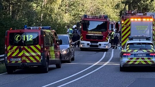Einen größeren Flächenbrand konnte die Feuerwehr verhindern, indem sie rasch die Flammen unterhalb der Leitplanke an der B41 zwi