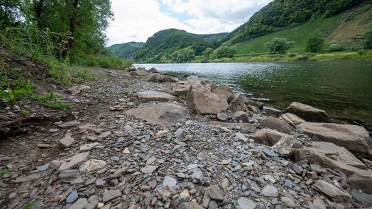 Trockenheit in Rheinland-Pfalz