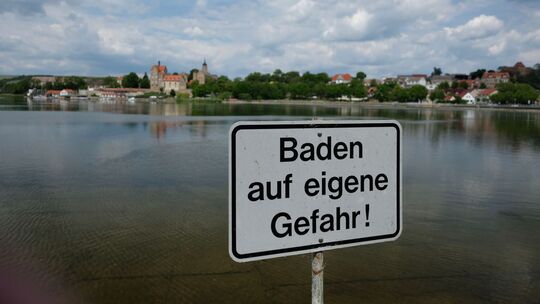Wasserqualität: Vibrionen in Gewässern