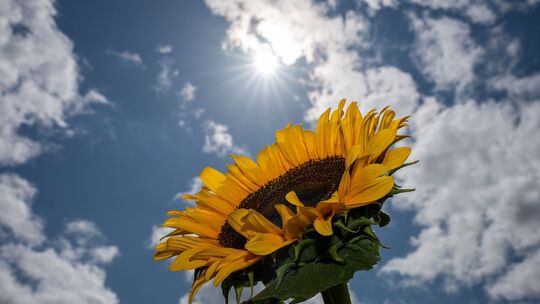 Wetter in Rheinland-Pfalz und im Saarland Wetter in Rheinland-Pfalz und im Saarland