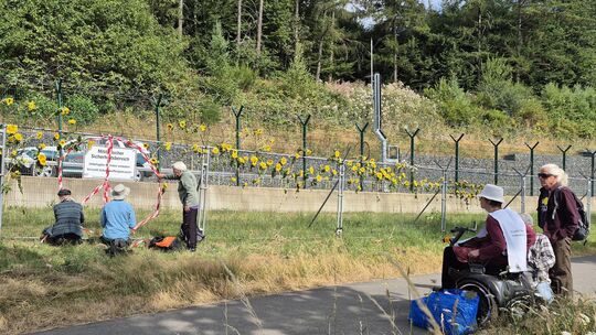 Die Friedensaktivisten brachten Sonnenblumen als Symbol für nukleare Abrüstung am Zaun des Fliegerhorstes in Büchel an.
