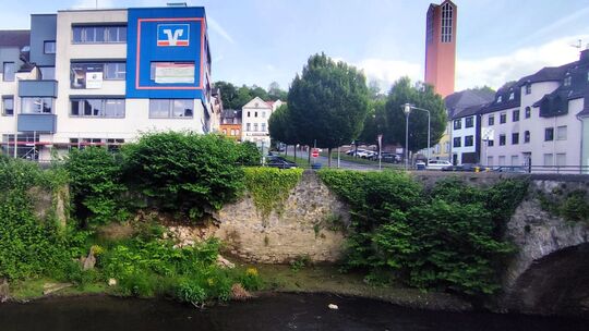 Die Büsche rechts und links der freien Mauerstelle bestehen jeweils aus Knöterich-Pflanzen. Inzwischen wurden sie weitgehend ent