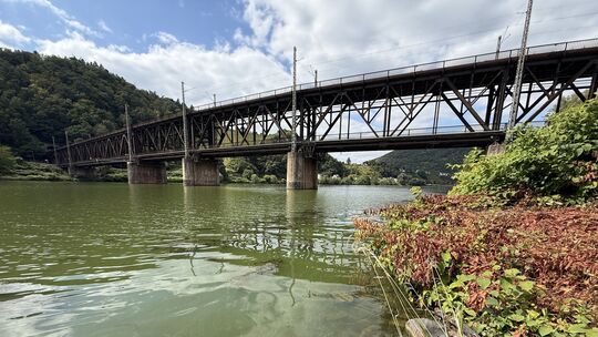 Die Mosel ist wieder von Blaualgen betroffen. So grün wie im vergangenen ist sie zwar noch nicht, aber es könnte bald so aussehe