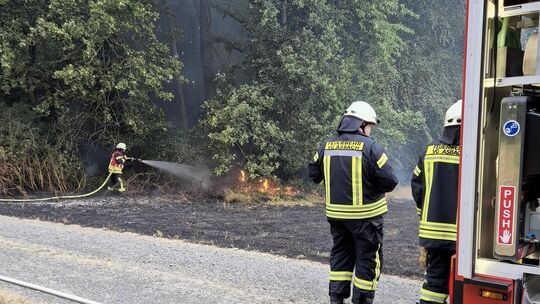 Rund 30 Quadratmeter Feld brannten direkt neben einem Waldstück.