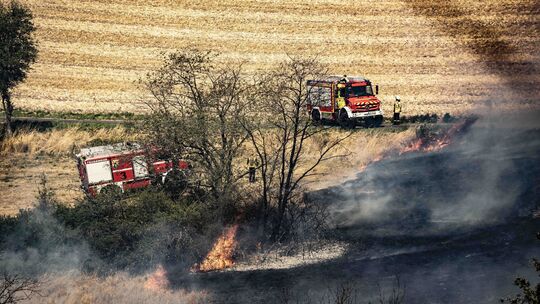 Flammen haben weite Teile der Vegetation zerstört, die Löscharbeiten laufen noch immer.