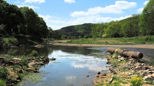 Die Ahr-Aue zwischen Lohrsdorf und Bad Bodendorf ist laut Wolfgang Büchs der einzige längere Flussabschnitt im Ahrtal, in den na