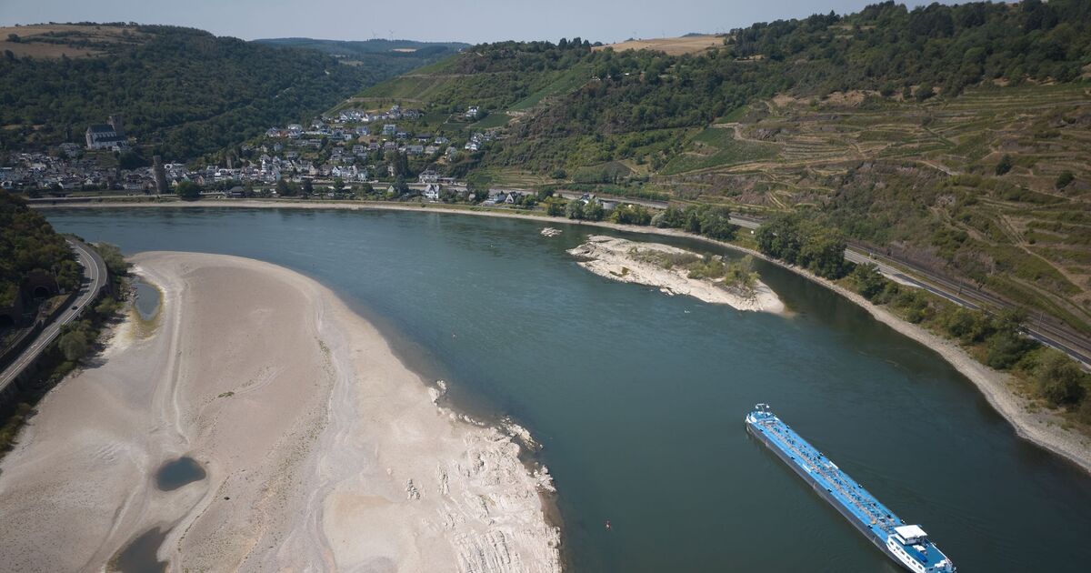 Consequences of the heat & drought: Could the Rhine be closed due to low ...
