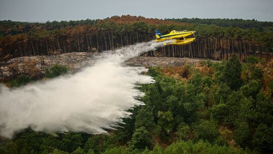 Waldbrände in Frankreich