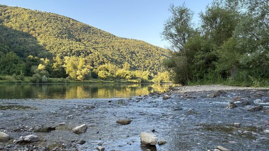 Viel Wasser ist es nicht mehr, das an der Mündung des Elzbachs bei Moselkern ankommt. Hitze und Trockenheit haben zugeschlagen.