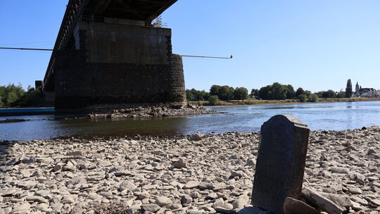 So wenig Wasser findet man hier nur selten: Aufgrund der anhaltenden Trockenheit kommen am Rheinufer in Engers im Moment kuriose