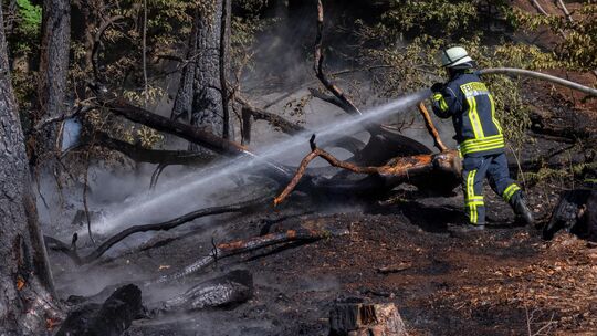 Die anhaltende Trockenheit hält die Feuerwehr in Rheinland-Pfalz seit Wochen auf Trab. Im Kreis Neuwied ist bislang glücklicherw