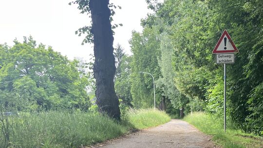 Der Geh- und Radweg am Koblenzer Moselufer soll zwischen Moselweiß und Rauental ausgebaut werden.