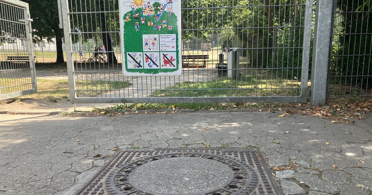 Pests in Koblenz: Rats are also playing on the playground in the Goldgrube