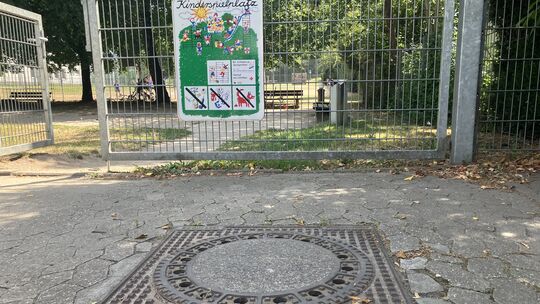 Vermutlich kommen die Ratten aus der Kanalisation oder sie leben im angrenzenden Grünstreifen. Anwohner beobachten, dass sogar t