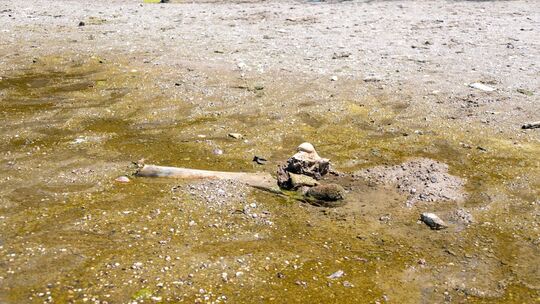 Mammutknochen an der Donau in Bulgarien