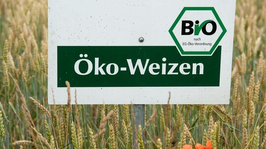 Öko-Landbau