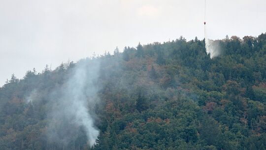 Waldbrand in der Oberpfalz