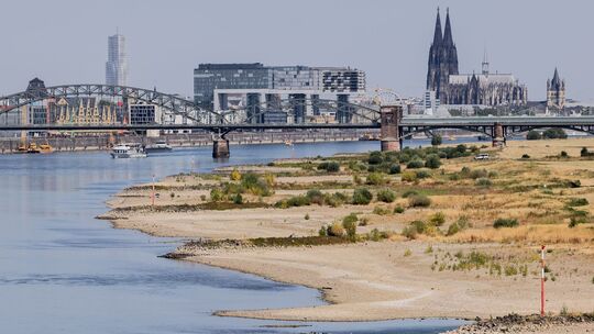 Niedrigwasser am Rhein - Köln