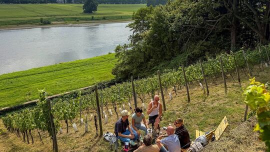 Picknick am Weinberg