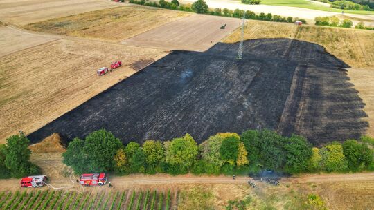 Aus der Luft wird das Ausmaß des Flächenbrandes deutlich: Große Teile des Feldes wurden vollständig zerstört. Aus der Luft wird das Ausmaß des Flächenbrandes deutlich: Große Teile des Feldes wurden vollständig zerstört.
