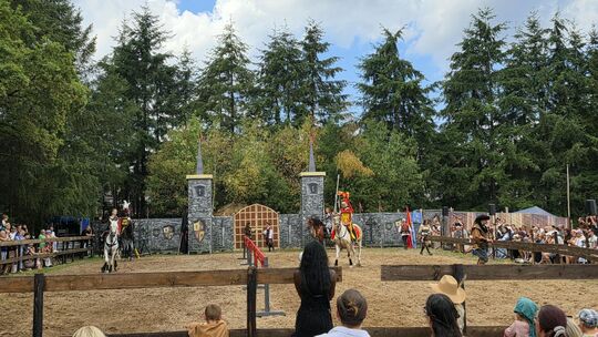 Die European Horse Show begeisterte auf dem Mittelaltermarkt in Freisen mit atemberaubenden Reiteinlagen. Die European Horse Show begeisterte auf dem Mittelaltermarkt in Freisen mit atemberaubenden Reiteinlagen.