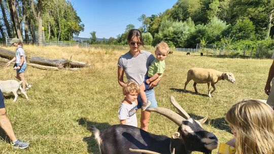 Ziegen füttern und streicheln war der Hit bei den Kindern beim Sommerfest am Schwanenteich.