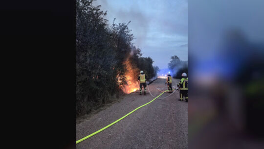 Eine Hecke stand auf rund 50 Metern Länge und 3 Metern Breite in Flammen