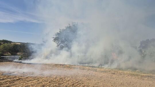 Schock in Leiningen: Fast griff ein Flächenbrand eines Feldes auf die Wohnbebauung über. Die Feuerwehren konnten durch beherzten Schock in Leiningen: Fast griff ein Flächenbrand eines Feldes auf die Wohnbebauung über. Die Feuerwehren konnten durch beherzten