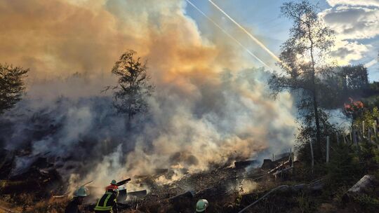 Die Symbolaufnahme zeigt Einsatzkräfte der Feuerwehr, die versuchen, einen Waldbrand zu löschen. Am Mittelrhein sieht man durch