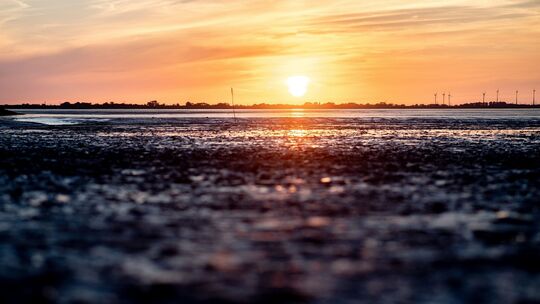 Watt en Schlick Festival - Sonnenuntergang in Dangast