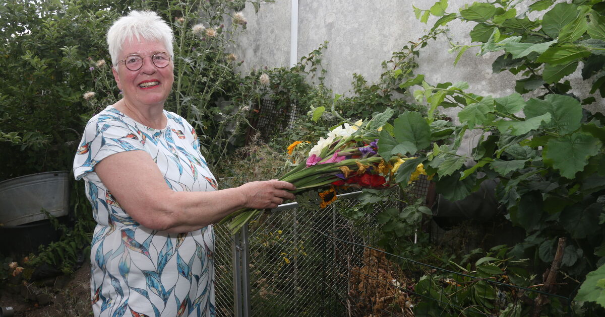 Kürrenberg: Kompost wird Gold: Der Garten ist im Wandel, wie das ganze ...
