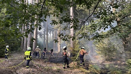 Foto Waldbrand bei Schwirzheim Foto Waldbrand bei Schwirzheim