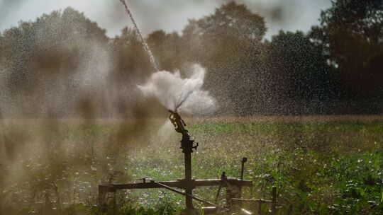 Wetter in Rheinland-Pfalz