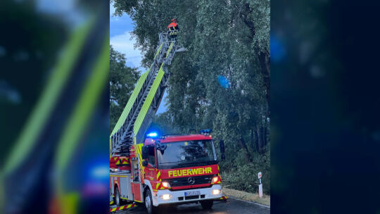 Einsatz auf der K3: Hier musste die Feuerwehr Birkenfeld nach einem Unwetter mehrere Gefahrenstellen beseitigen.
