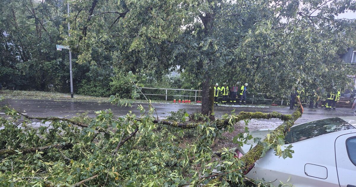 Severe weather in Heimbach: Hail, falling trees and branches
