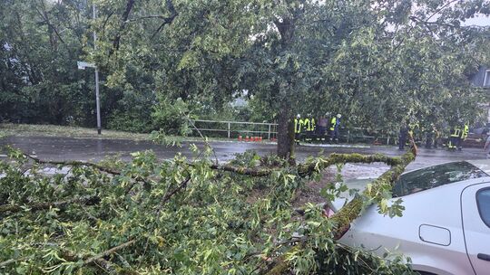 Bei dem Unwetter am Montagabend stürzte in Heimbach ein Ast auf ein geparktes Fahrzeug und beschädigte dieses.