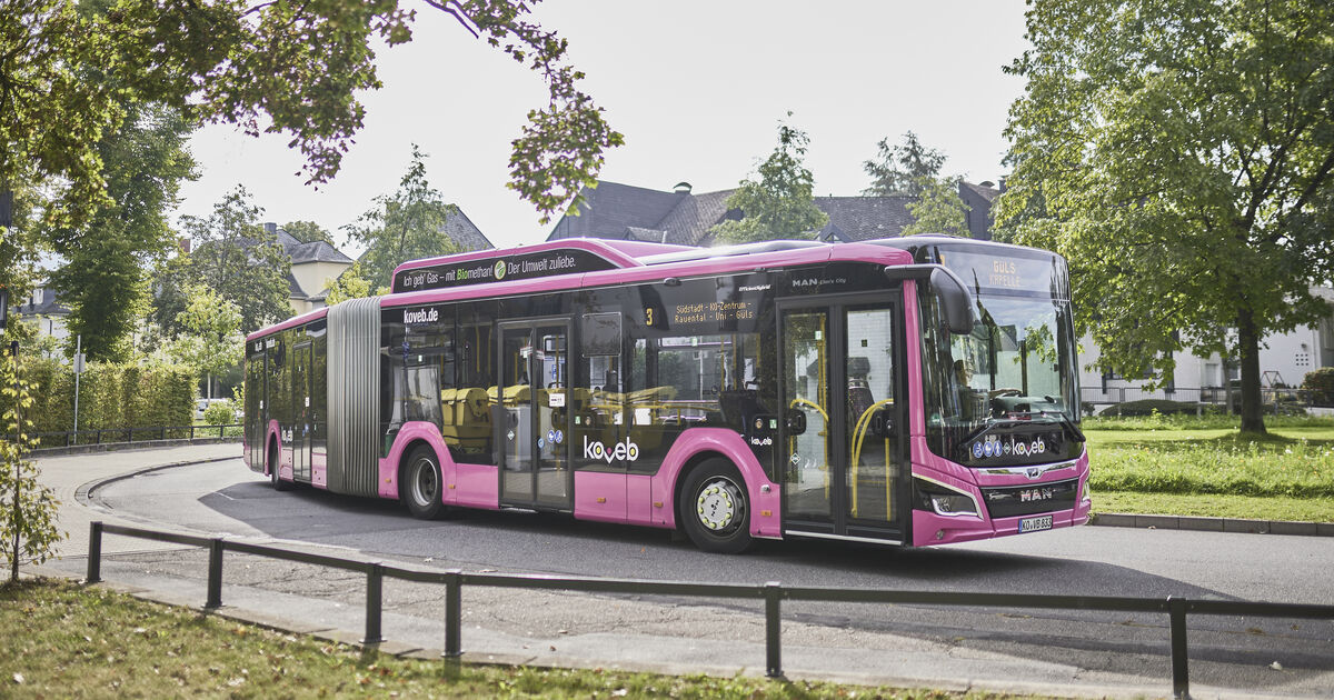 Shuttle service in Koblenz: Take the bus to Rhine in Flames