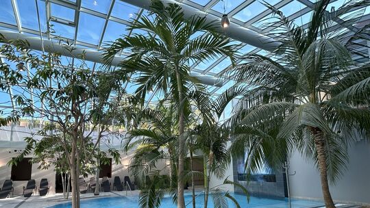 Ein Pool unter Palmen im Bäderhaus – es fragt sich aber nun: Wie lamge noch?