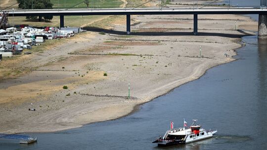 Niedrigwasser im Rhein