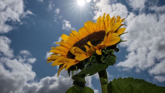 Wetter in Rheinland-Pfalz und im Saarland