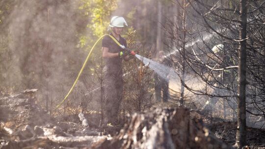 Feuerwehreinheiten aus Boppard, Kastellaun, Simmern, Rheinböllen, Pfalzfeld, Mastershausen und der Waldbrandzug des Rhein-Hunsrü