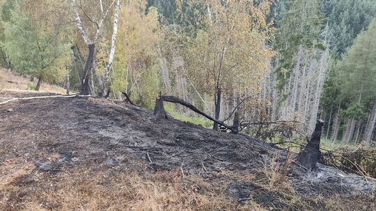 Das Foto entstand nach dem Löscheinsatz der Feuerwehr.