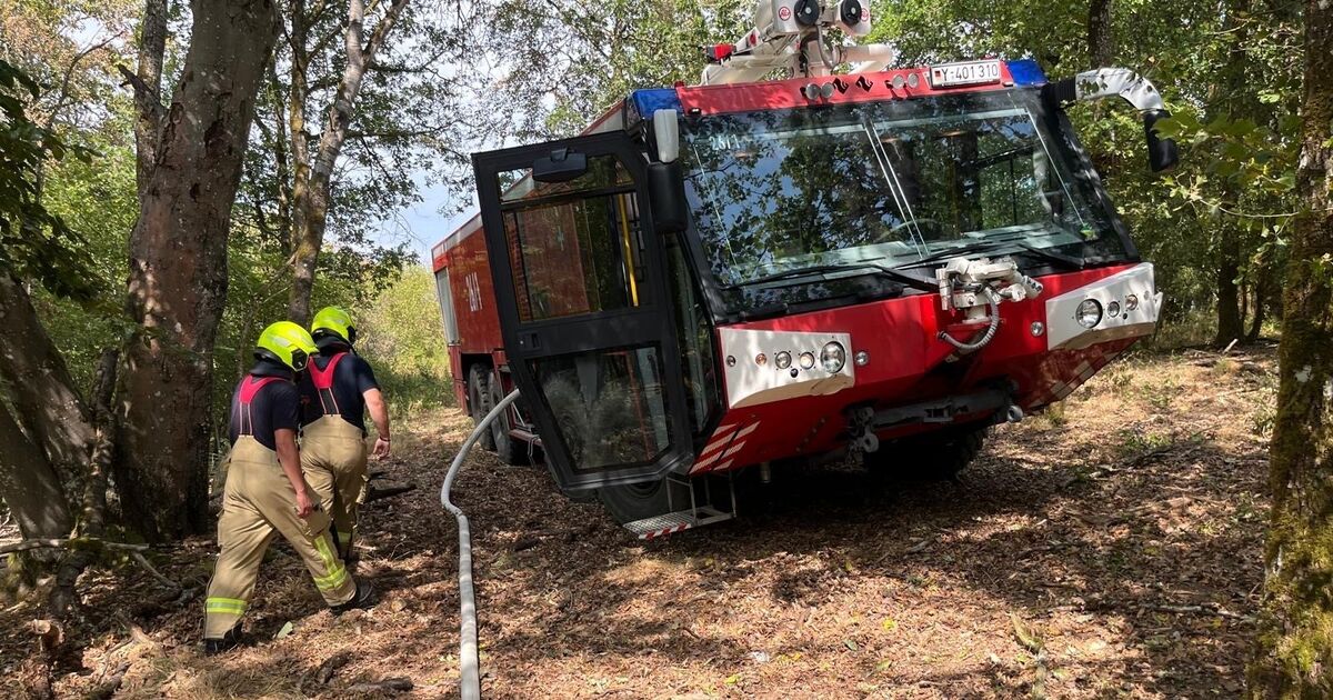 Firefighters active on a steep slope: Lightning strike triggers forest ...